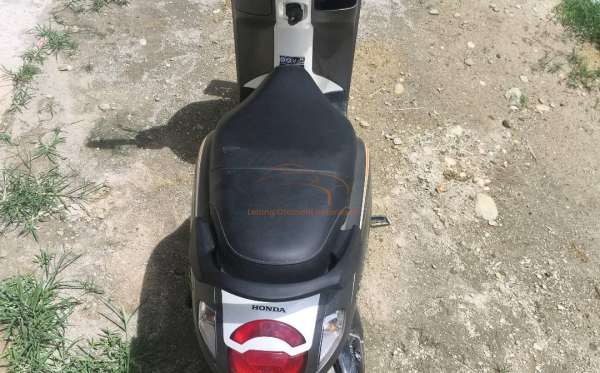 HONDA  SCOOPY