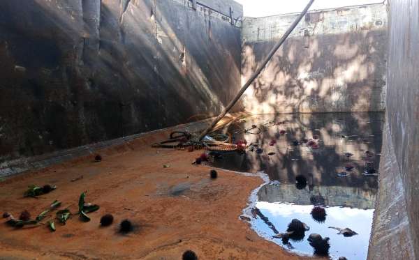 MITSUBISHI  FE  75 SHDX