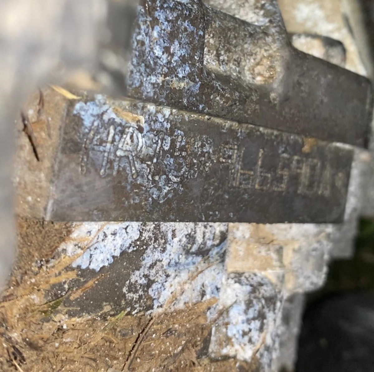 NISSAN  GRAND LIVINA  XV