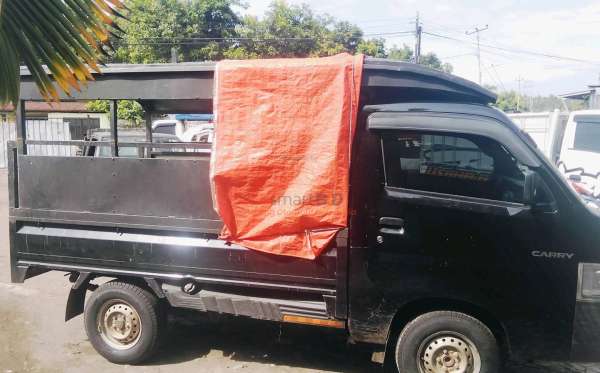 SUZUKI  CARRY  PU