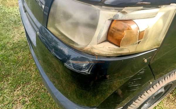 SUZUKI MEGA CARRY P.U