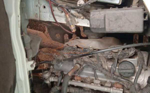 DAIHATSU GRAN MAX BLIND VAN