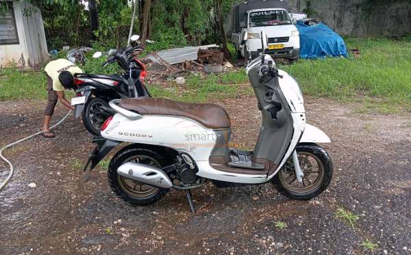 HONDA SCOOPY