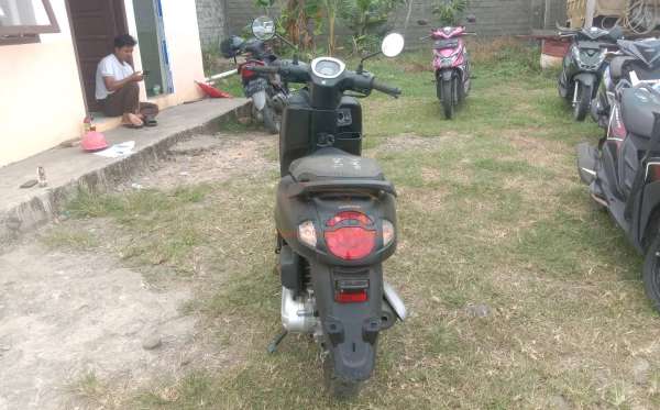 HONDA SCOOPY CW