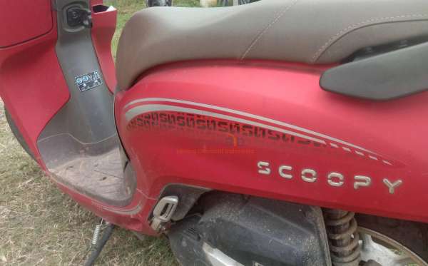 HONDA SCOOPY CW