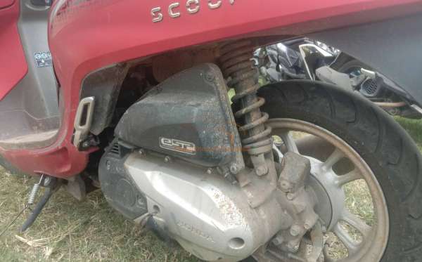 HONDA SCOOPY CW