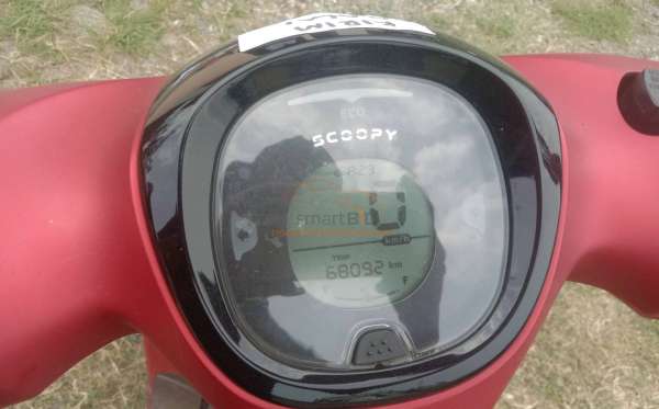HONDA SCOOPY CW