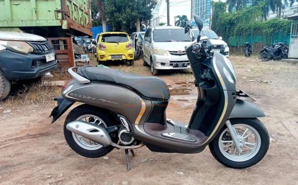 HONDA SCOOPY STYLISH