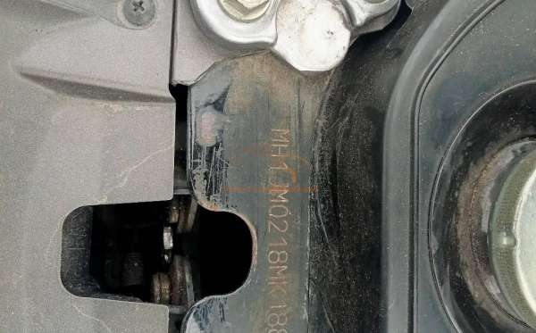 HONDA SCOOPY STYLISH