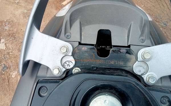 HONDA SCOOPY STYLISH