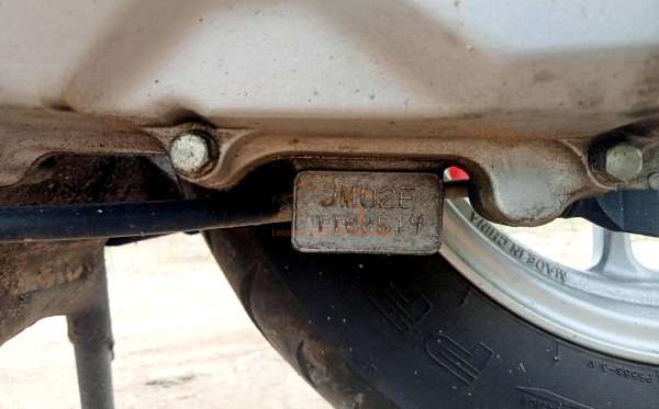 HONDA SCOOPY STYLISH