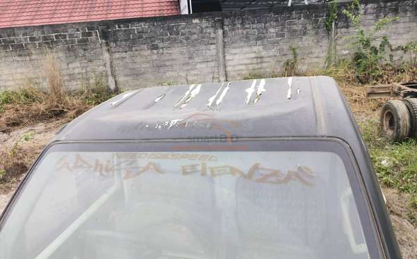 SUZUKI MEGA CARRY PU