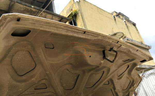 SUZUKI MEGA CARRY PU