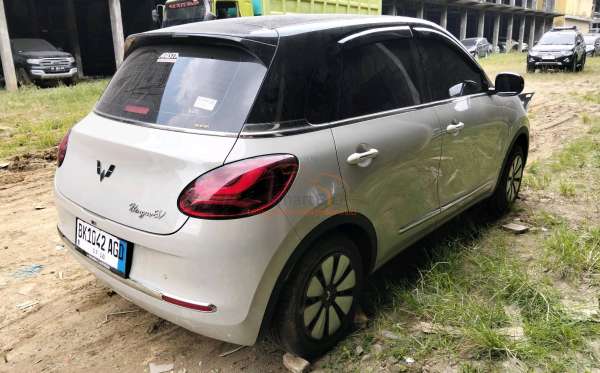 WULING BINGUO EV