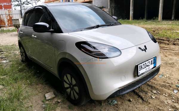 WULING BINGUO EV