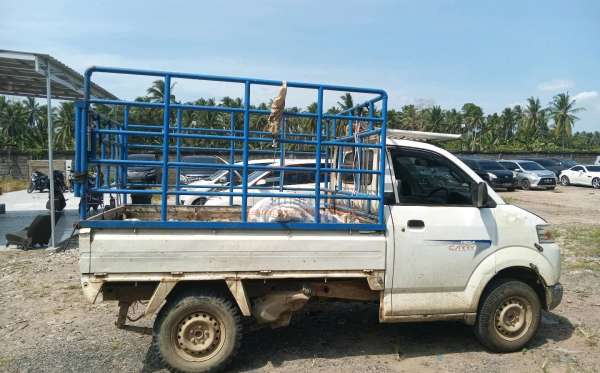 SUZUKI MEGA CARRY P.U