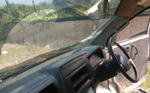 SUZUKI MEGA CARRY P.U