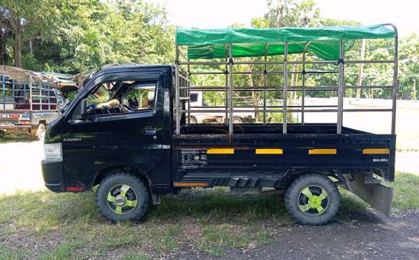 SUZUKI  CARRY  PU