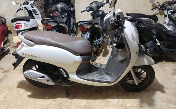 HONDA SCOOPY PRESTIGE