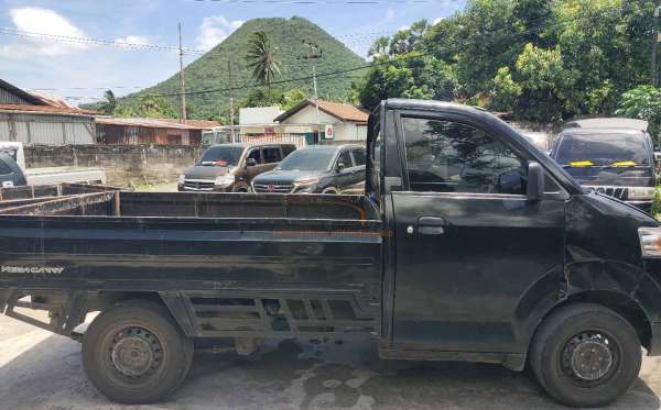 SUZUKI MEGA CARRY PU