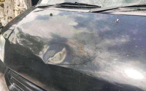 SUZUKI MEGA CARRY PU