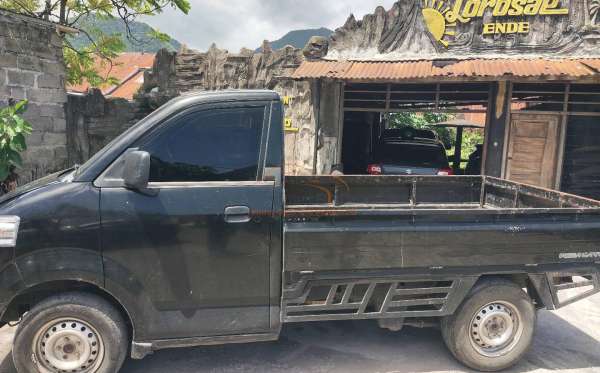 SUZUKI MEGA CARRY PU