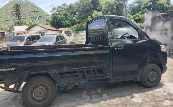 SUZUKI MEGA CARRY PU