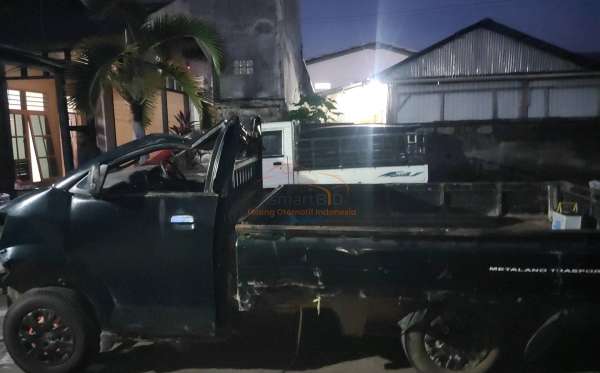 SUZUKI MEGA CARRY PU