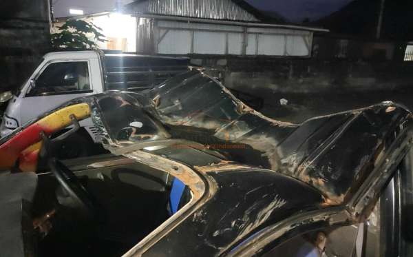 SUZUKI MEGA CARRY PU