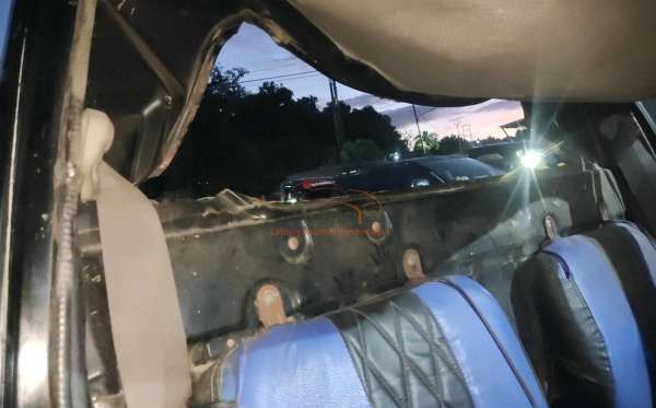 SUZUKI MEGA CARRY PU