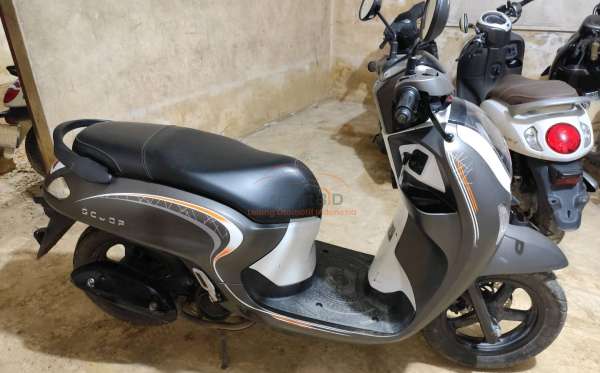 HONDA SCOOPY SPORTY