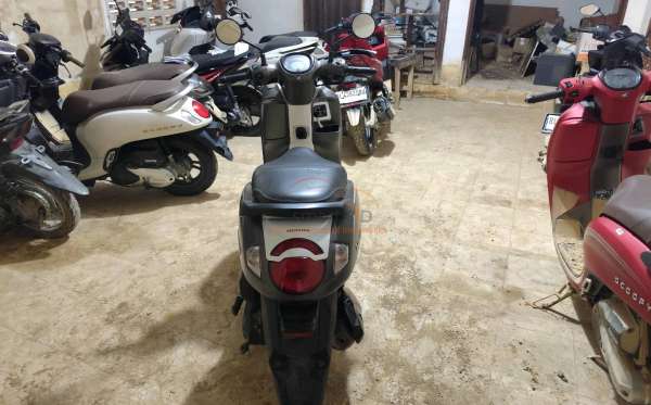HONDA SCOOPY SPORTY