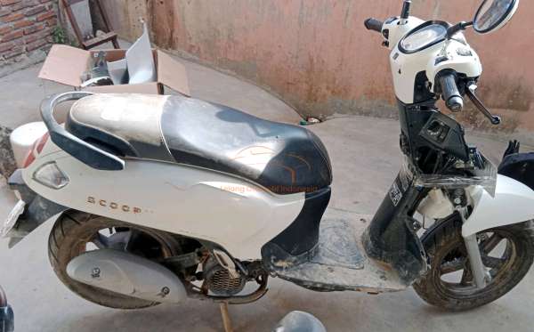 HONDA SCOOPY PRESTIGE