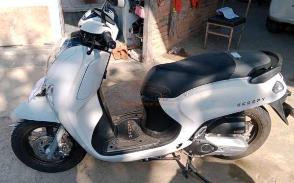HONDA  SCOOPY