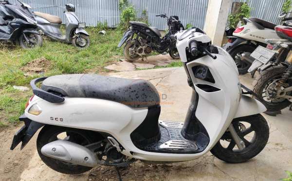 HONDA SCOOPY PRESTIGE
