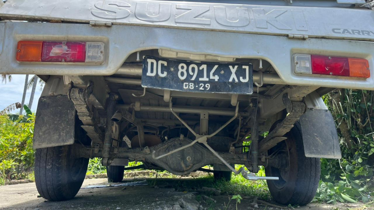 SUZUKI CARRY  PU