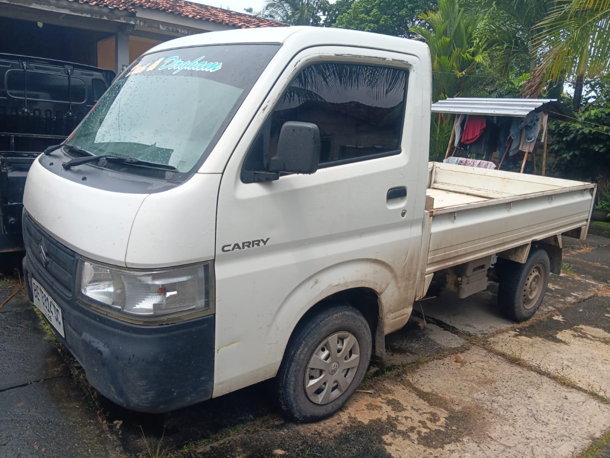 SUZUKI CARRY  PU