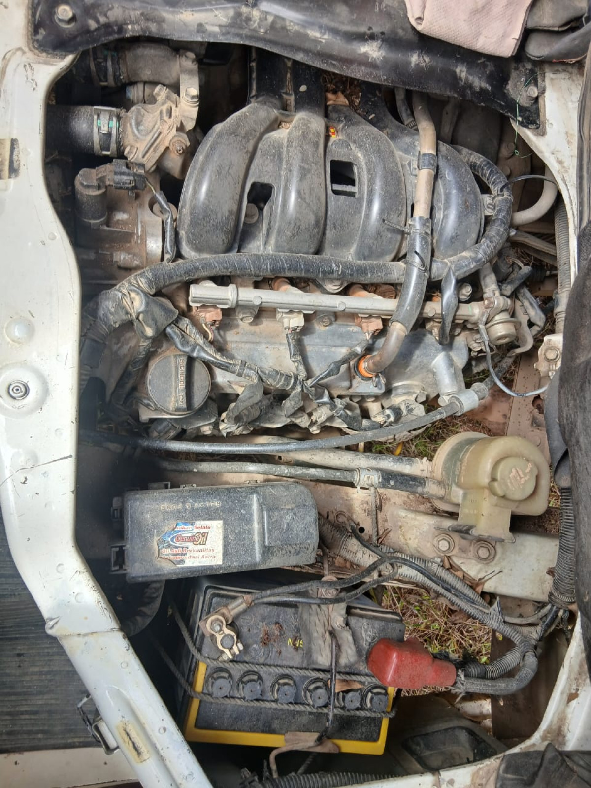 DAIHATSU  GRAN MAX  PICK-UP