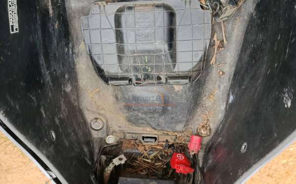 HONDA NEW PCX 160 CBS