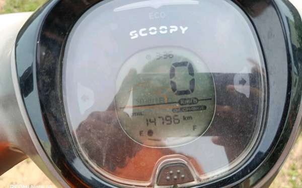 HONDA SCOOPY