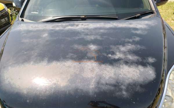 HONDA  CR-V  RE1 2WD 2.0