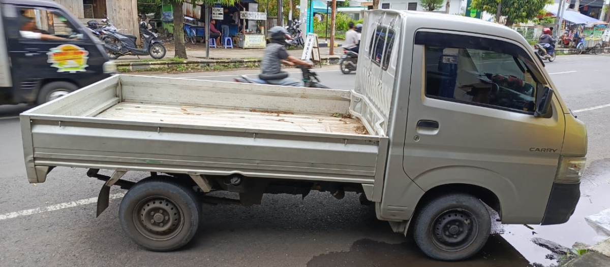 SUZUKI CARRY  PU