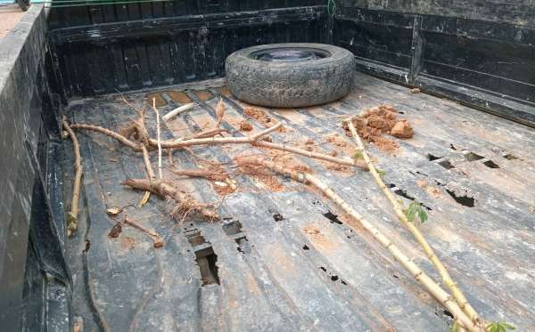 SUZUKI  MEGA CARRY  PU