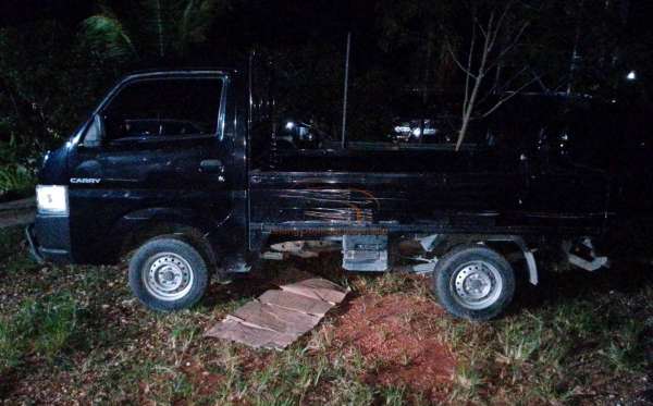 SUZUKI NEW CARRY PU WD AC PS