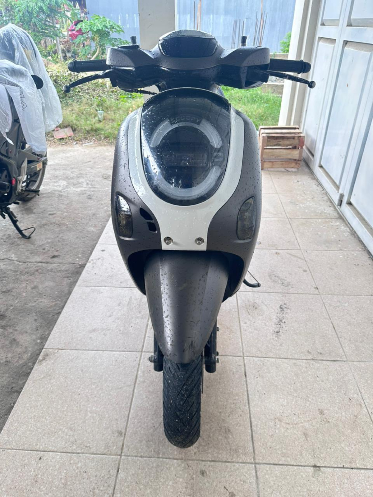 HONDA SCOOPY