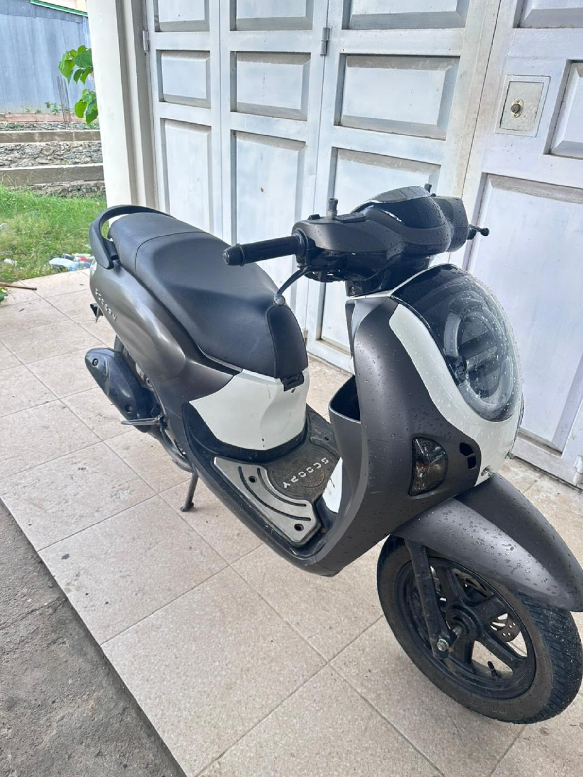 HONDA SCOOPY