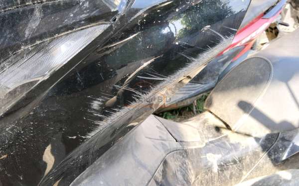 HONDA NEW PCX 160 CBS