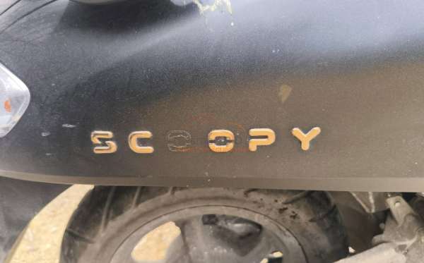 HONDA  SCOOPY