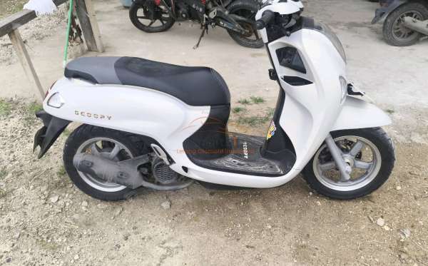 HONDA  SCOOPY