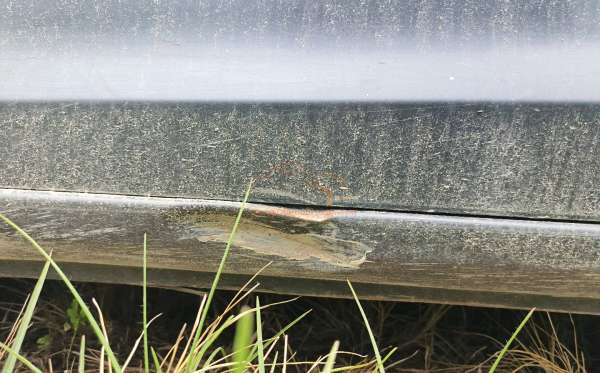 HONDA BRIO SATYA 1.2 S